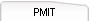 PMIT