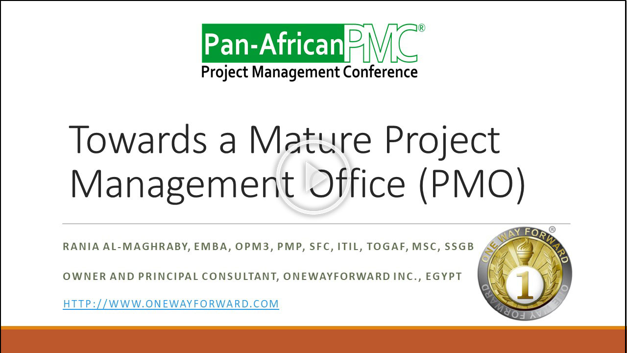 towards-a-mature-project-management-office-snapshot