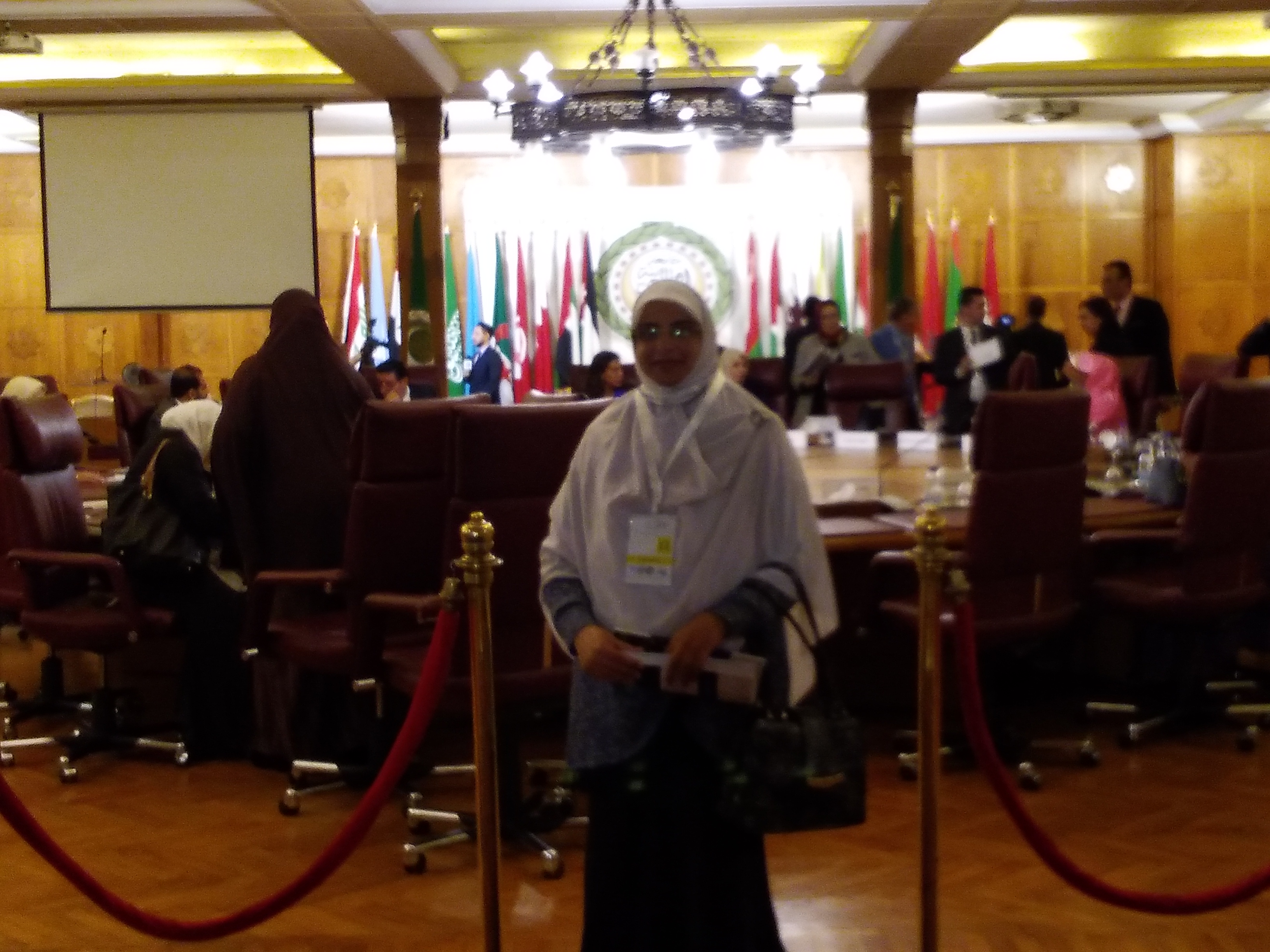 Language Policies Conference, December 2022, League of Arab States, Cairo