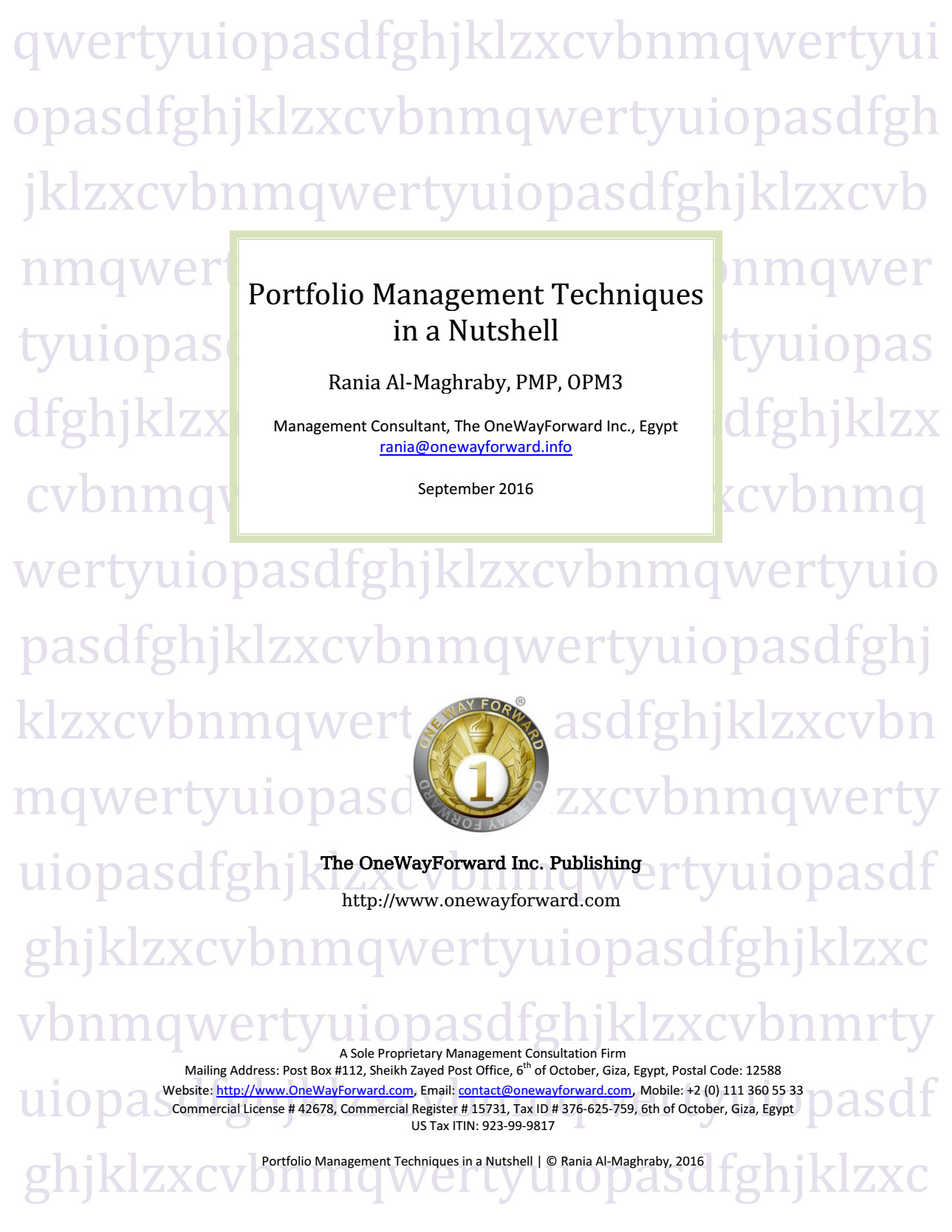 portfolio-management-techniques-in-a-nutshell-preview